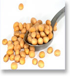 Soybean Meal Trading